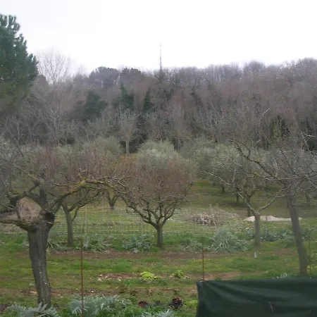 度假居 Casa Vacanze In Collina *