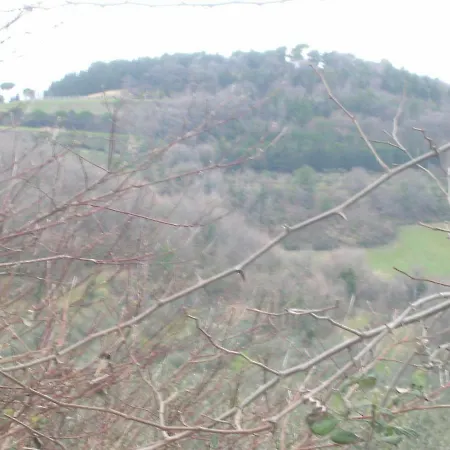 度假居 Casa Vacanze In Collina
